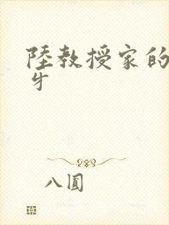 陆教授家的小月牙封面