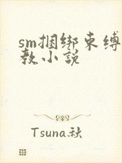 sm捆绑束缚调教小说