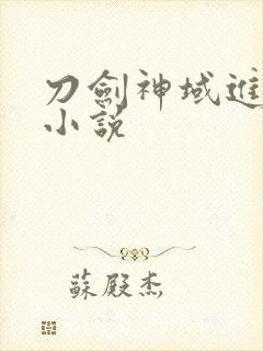 刀剑神域进击篇小说封面