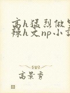 高h猛烈做哭高辣h文np小说