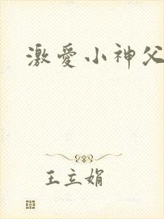 激爱小神父