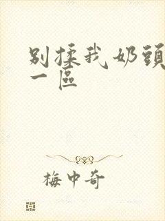 别揉我奶头嗯啊一区