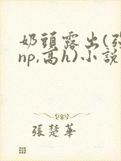 奶头露出(强jnp,高h)小说