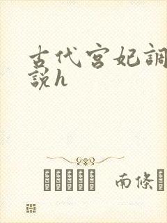 古代宫妃调教小说h封面