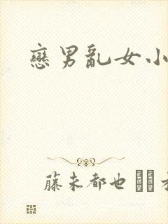 恋男乱女小说