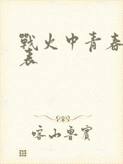 战火中青春演员表