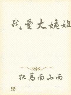 我爱大姨姐封面
