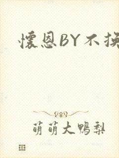 怀恩BY不换封面