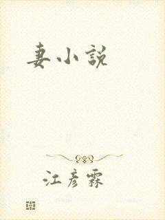妻小说