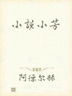 小说小芳封面