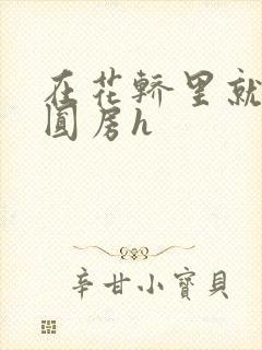 在花轿里就开始圆房h