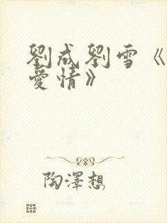 刘成刘雪《当代爱情》