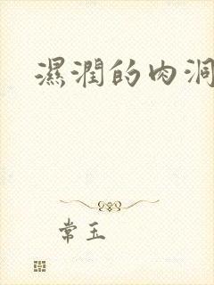 湿润的肉洞