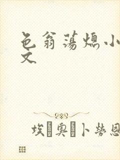 色翁荡熄小说全文