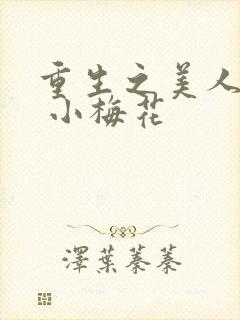 重生之美人君事 小梅花