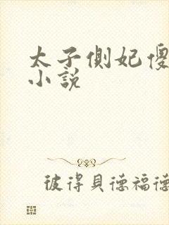 太子侧妃傻乎乎小说