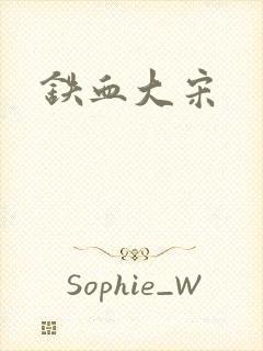 铁血大宋封面