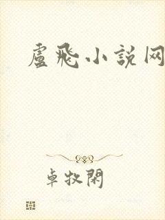 卢飞小说网封面