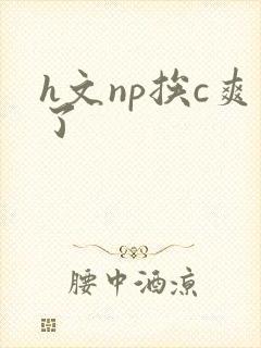 h文np挨c爽了
