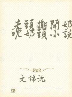 老头撕开奶罩揉吮奶头小说