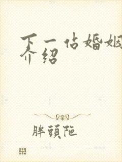 下一站婚姻剧情介绍