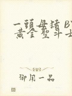 一头母猪 BY 黄金圣斗士