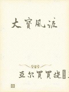 大宝风流