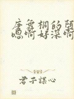 唐舞桐的堕落H嗯啊好深啊封面