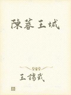 陈蓉王城封面