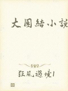 大团结小说下载