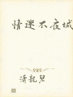情迷不夜城