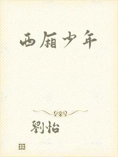 西厢少年