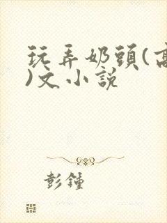 玩弄奶头(高h)文小说