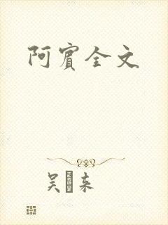 阿宾全文封面