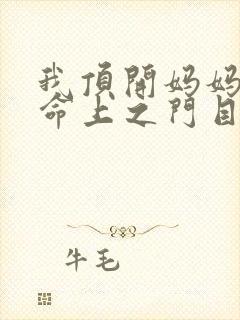 我顶开妈妈的生命上之门目录封面