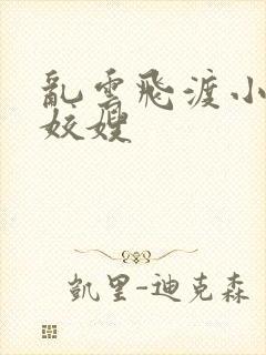 乱云飞渡小说之姣嫂