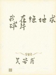 我在绝地求生捡碎片