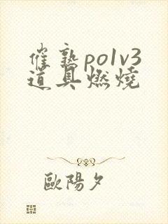 催熟po1v3道具燃烧封面