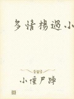 多情杨过小说封面