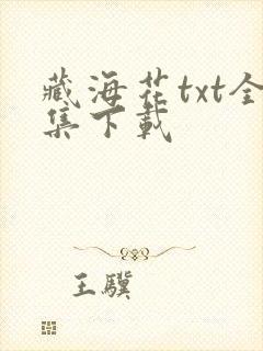 藏海花txt全集下载封面