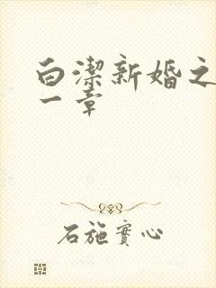 白洁新婚之夜第一章封面