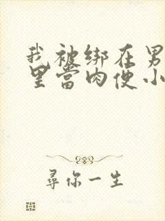 我被绑在男公厕里当肉便小说