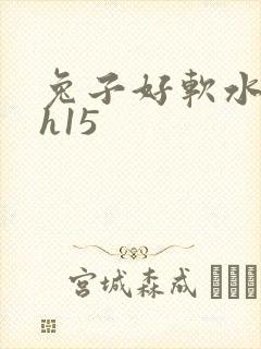兔子好软水好多h15封面