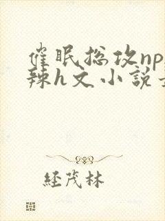 催眠总攻np高辣h文小说最新章节更新