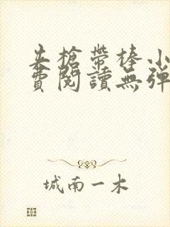 夹枪带棒小说免费阅读无弹窗笔趣