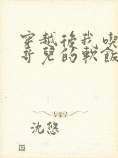 穿越后我吃到了哥儿的软饭炉山灰封面