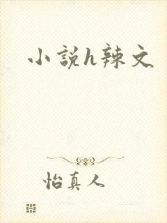 小说h辣文