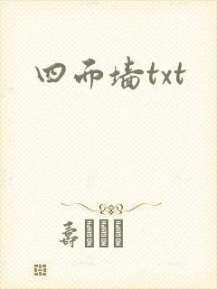 四面墙txt