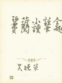 碧荷小说全文免费阅读笔趣阁