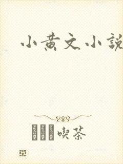 小黄文小说